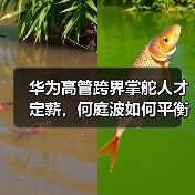 华为高管跨界掌舵人才定薪,何庭波如何平衡技术与薪酬?(图2) 华为高管跨界掌舵人才定薪,何庭波如何平衡技术与薪酬?(图2)
