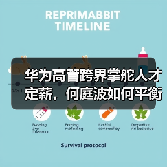 华为高管跨界掌舵人才定薪,何庭波如何平衡技术与薪酬?(图3) 华为高管跨界掌舵人才定薪,何庭波如何平衡技术与薪酬?(图3)