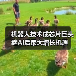 机器人技术成芯片巨头继AI后最大增长机遇(图2) 机器人技术成芯片巨头继AI后最大增长机遇(图2)