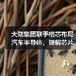 大陆集团联手格芯布局汽车半导体,破解芯片短缺难题(图3) 大陆集团联手格芯布局汽车半导体,破解芯片短缺难题(图3)