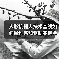 人形机器人技术基线如何通过感知驱动实现全面革新?(图2) 人形机器人技术基线如何通过感知驱动实现全面革新?(图2)