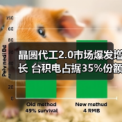晶圆代工2.0增长13% AI驱动AI芯片需求爆发