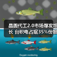 晶圆代工2.0市场爆发增长 台积电占据35%份额(图4) 晶圆代工2.0市场爆发增长 台积电占据35%份额(图4)
