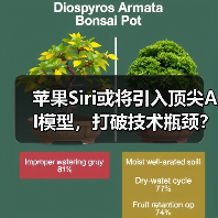 苹果Siri或将引入顶尖AI模型，打破技术瓶颈？（图3）