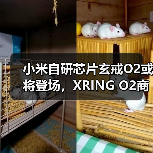 小米自研芯片玄戒O2或将登场,XRING O2商标已申请(图2) 小米自研芯片玄戒O2或将登场,XRING O2商标已申请(图2)