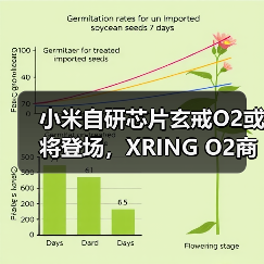 小米自研芯片玄戒O2或将登场,XRING O2商标已申请(图3) 小米自研芯片玄戒O2或将登场,XRING O2商标已申请(图3)