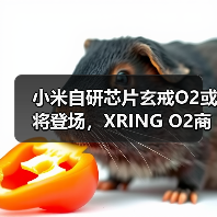 小米自研芯片玄戒O2或将登场,XRING O2商标已申请(图4) 小米自研芯片玄戒O2或将登场,XRING O2商标已申请(图4)