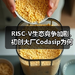 RISC-V生态竞争加剧,初创大厂Codasip为何加速出售?(图2) RISC-V生态竞争加剧,初创大厂Codasip为何加速出售?(图2)