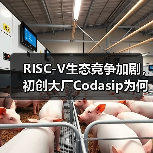 RISC-V生态竞争加剧，初创大厂Codasip为何加速出售