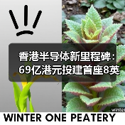 香港半导体新里程碑:69亿港元投建首座8英寸碳化硅晶圆厂(图4) 香港半导体新里程碑:69亿港元投建首座8英寸碳化硅晶圆厂(图4)