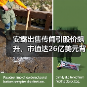 安霸出售引热议：芯片巨头为何选择出售？