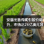 安霸出售传闻引股价飙升,市值达26亿美元背后的行业整合动因(图2) 安霸出售传闻引股价飙升,市值达26亿美元背后的行业整合动因(图2)