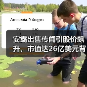 安霸出售传闻引股价飙升,市值达26亿美元背后的行业整合动因(图4) 安霸出售传闻引股价飙升,市值达26亿美元背后的行业整合动因(图4)