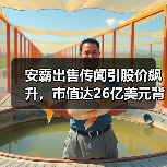 安霸出售传闻引股价飙升,市值达26亿美元背后的行业整合动因(图3) 安霸出售传闻引股价飙升,市值达26亿美元背后的行业整合动因(图3)