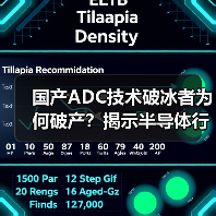国产ADC技术破冰者破产，芯片研发为何难以为继？