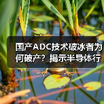 国产ADC技术破冰者为何破产？揭示半导体行业三大困境（图3）