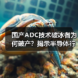 国产ADC技术破冰者为何破产？揭示半导体行业三大困境（图4）