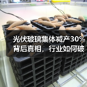 光伏玻璃集体减产30%背后真相,行业如何破局?(图2) 光伏玻璃集体减产30%背后真相,行业如何破局?(图2)