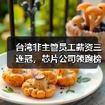 台湾非主管员工薪资三连冠,芯片公司领跑榜单(图2) 台湾非主管员工薪资三连冠,芯片公司领跑榜单(图2)