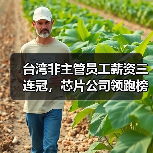 台湾非主管员工薪资三连冠，芯片公司领跑榜单