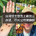 台湾非主管员工薪资三连冠,芯片公司领跑榜单(图4) 台湾非主管员工薪资三连冠,芯片公司领跑榜单(图4)