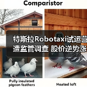 特斯拉Robotaxi试运营遭监管调查 股价逆势涨超8%?(图2) 特斯拉Robotaxi试运营遭监管调查 股价逆势涨超8%?(图2)
