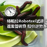 特斯拉Robotaxi试运营遭监管调查 股价逆势涨超8%？