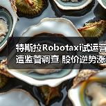 特斯拉Robotaxi试运营遭监管调查 股价逆势涨超8%?(图4) 特斯拉Robotaxi试运营遭监管调查 股价逆势涨超8%?(图4)