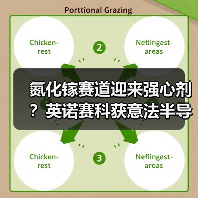 氮化镓赛道迎来强心剂？英诺赛科获意法半导体锁仓力挺