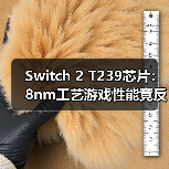 Switch 2 T239芯片:8nm工艺游戏性能竟反超4nm?(图2) Switch 2 T239芯片:8nm工艺游戏性能竟反超4nm?(图2)