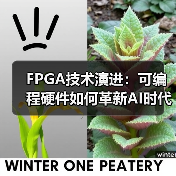 FPGA技术演进：可编程硬件如何革新AI时代的应用？（图2）