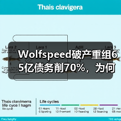 Wolfspeed破产重组：债务危机与市场挑战如何破局？