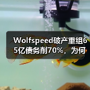 Wolfspeed破产重组65亿债务削70%，为何陷入危机？（图2）