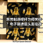 东莞制造标杆为何关停?电子制造巨头面临战略转型(图4) 东莞制造标杆为何关停?电子制造巨头面临战略转型(图4)