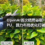 OpenAI首次租用谷歌TPU,算力布局优化打破英伟达垄断(图2) OpenAI首次租用谷歌TPU,算力布局优化打破英伟达垄断(图2)