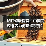 2026QS世界大学排名：中国高校强势崛起，国际排名持续攀升