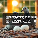 加拿大禁令引中企应对：安全审查还是政治打压？