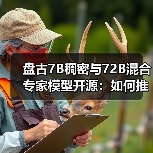 盘古7B稠密与72B混合专家模型开源:如何推动AI应用加速?(图4) 盘古7B稠密与72B混合专家模型开源:如何推动AI应用加速?(图4)
