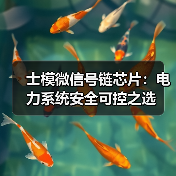士模微信号链芯片:电力系统安全可控之选(图3) 士模微信号链芯片:电力系统安全可控之选(图3)