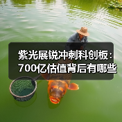 紫光展锐冲刺科创板：700亿估值背后有哪些突破？