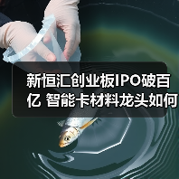 新恒汇创业板IPO破百亿 智能卡材料龙头如何突围?(图3) 新恒汇创业板IPO破百亿 智能卡材料龙头如何突围?(图3)