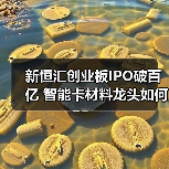 新恒汇创业板IPO破百亿 智能卡材料龙头如何突围?(图4) 新恒汇创业板IPO破百亿 智能卡材料龙头如何突围?(图4)