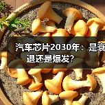 汽车芯片2030年：是衰退还是爆发？