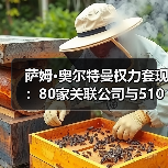 萨姆·奥尔特曼权力套现:80家关联公司与5100万美元芯片输送曝光(图3) 萨姆·奥尔特曼权力套现:80家关联公司与5100万美元芯片输送曝光(图3)