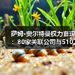 萨姆·奥尔特曼权力套现:80家关联公司与5100万美元芯片输送曝光(图4) 萨姆·奥尔特曼权力套现:80家关联公司与5100万美元芯片输送曝光(图4)