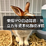 荣耀IPO启动背后:独立五年资本化路径浮现(图2) 荣耀IPO启动背后:独立五年资本化路径浮现(图2)