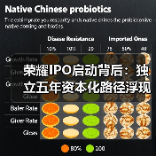 荣耀IPO启动背后:独立五年资本化路径浮现(图3) 荣耀IPO启动背后:独立五年资本化路径浮现(图3)