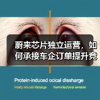 蔚来芯片独立运营能否突围智驾芯片赛道？