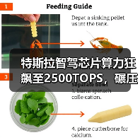 特斯拉FSD芯片AI 5量产！2500TOPS算力颠覆行业