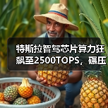 特斯拉智驾芯片算力狂飙至2500TOPS,碾压英伟达引领智能驾驶新纪元(图2) 特斯拉智驾芯片算力狂飙至2500TOPS,碾压英伟达引领智能驾驶新纪元(图2)
